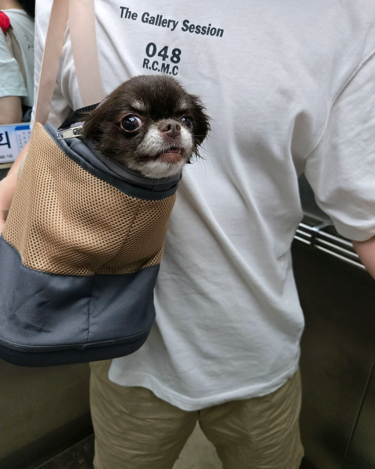 우주동물병원 사진 2