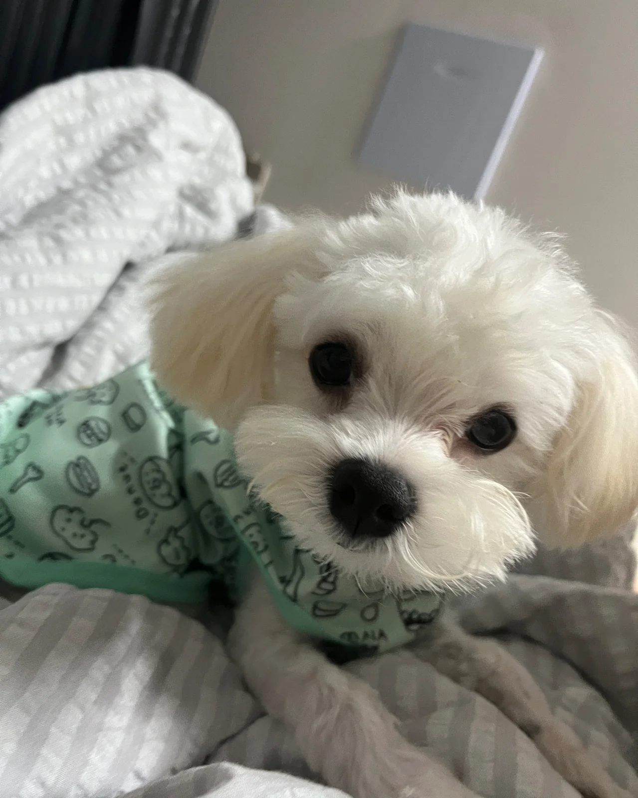 리뷰 사진 1