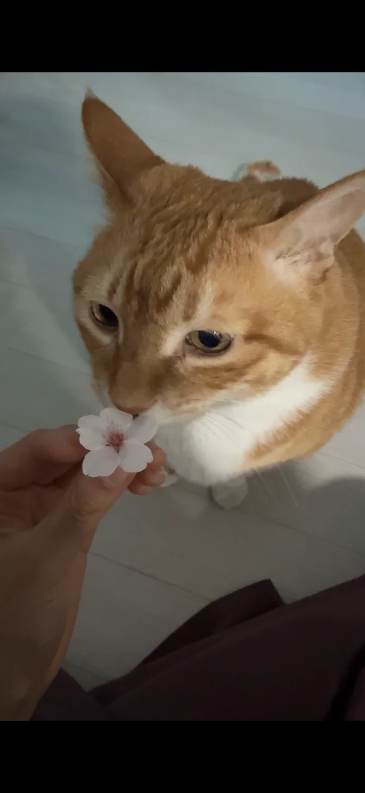 리뷰 사진 1