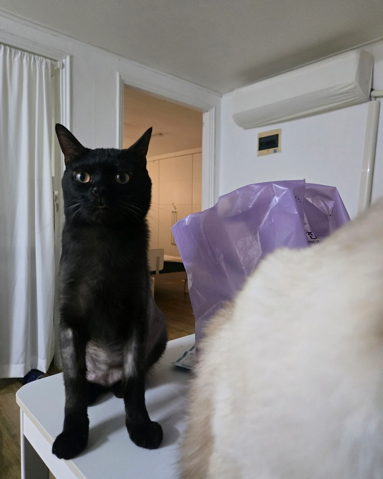 리뷰 사진 1