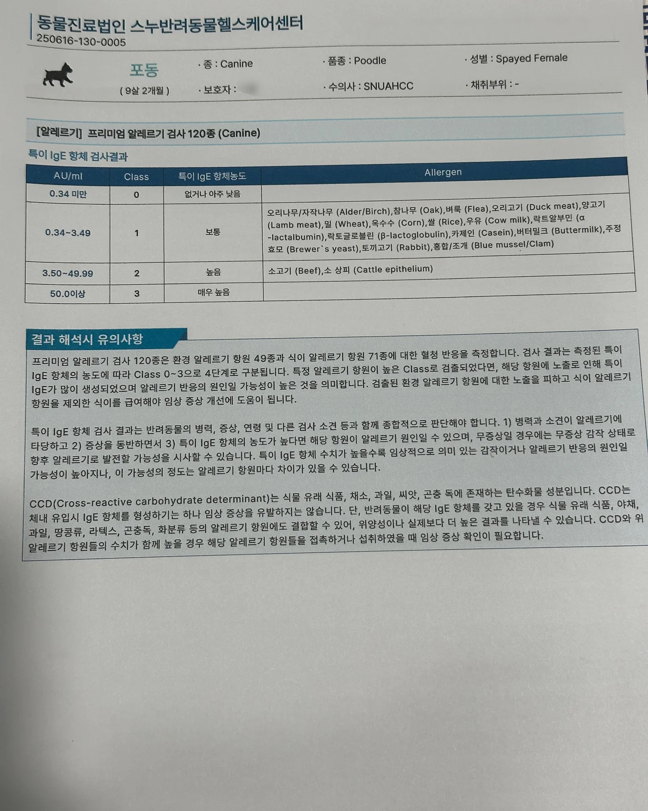 리뷰 사진 6