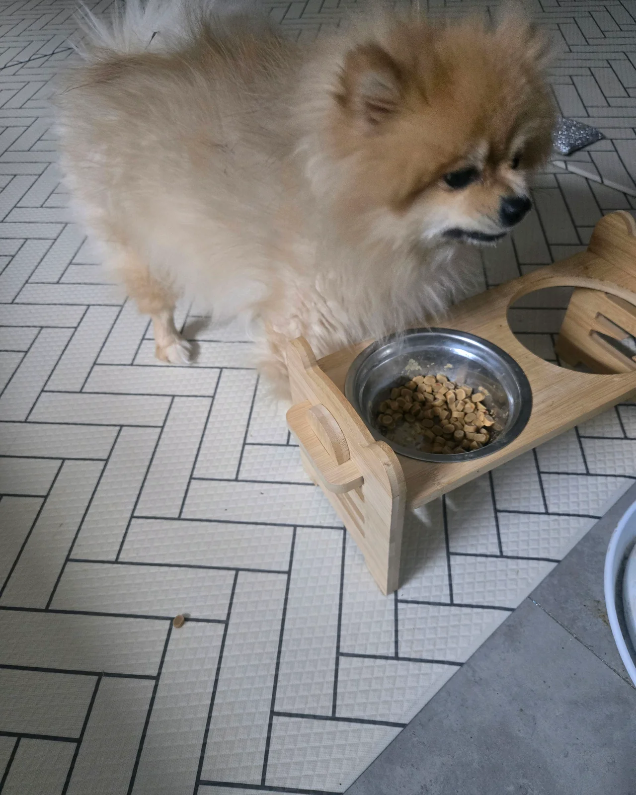 리뷰 사진 1