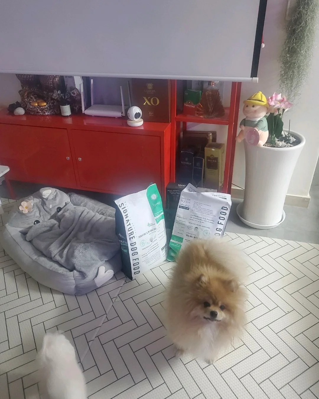 리뷰 사진 1