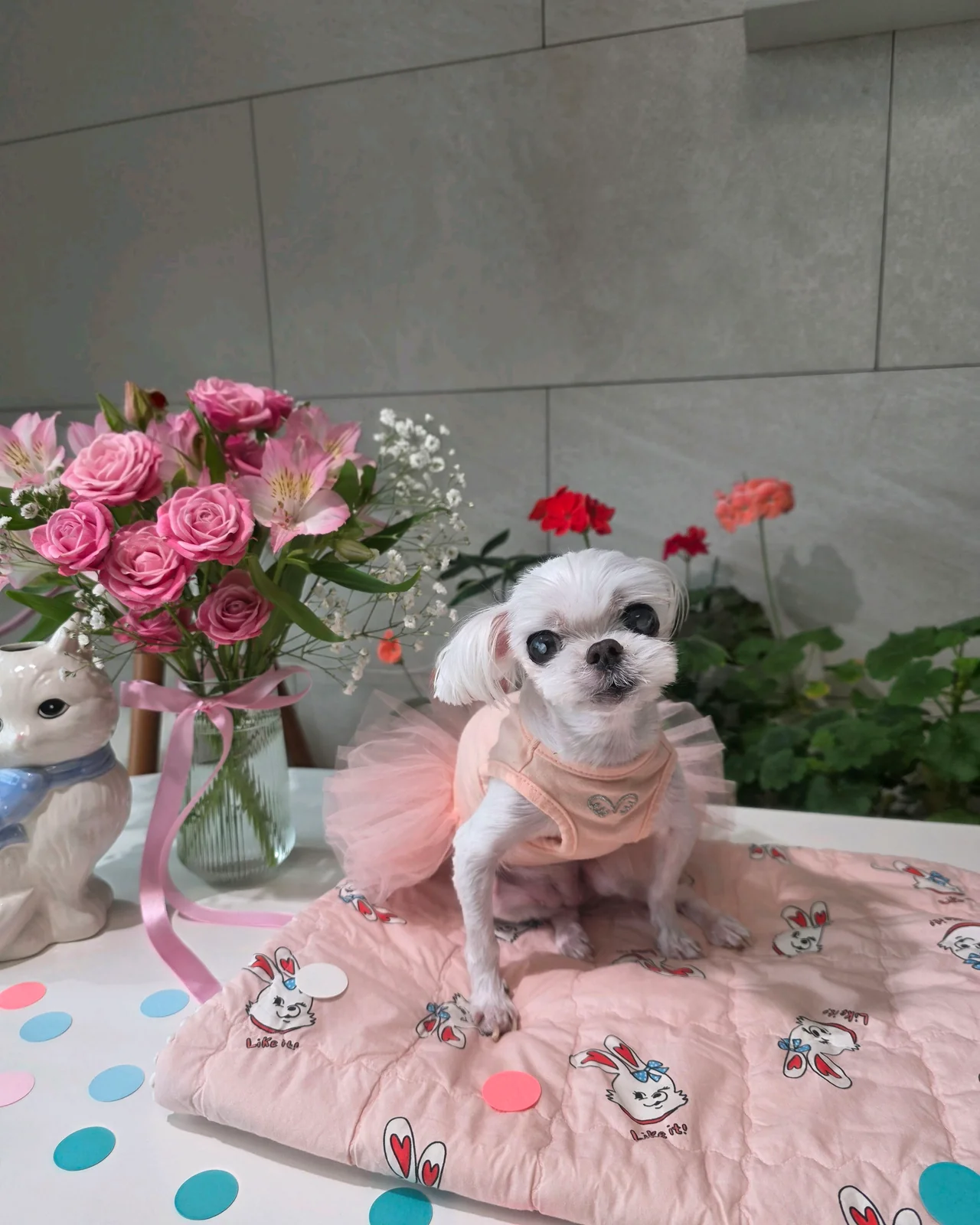 리뷰 사진 1