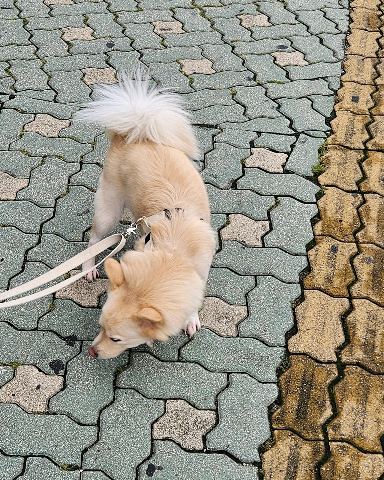 리뷰 사진 2