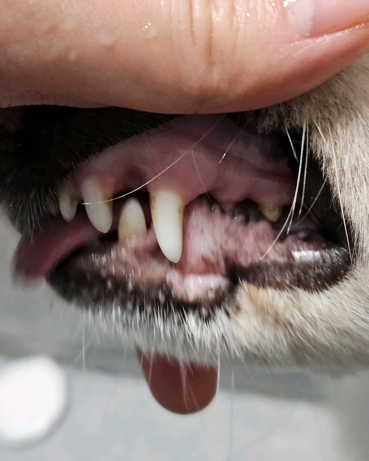 리뷰 사진 5