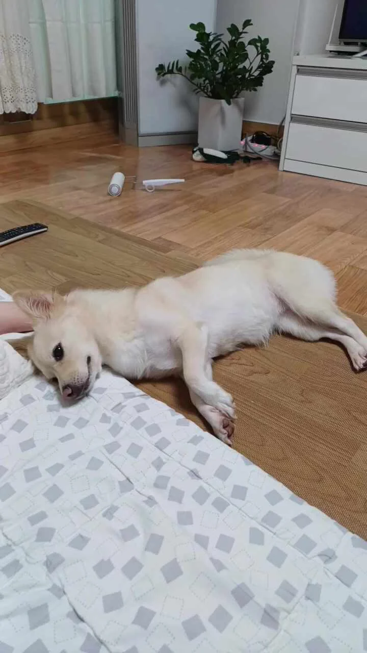 리뷰 사진 2