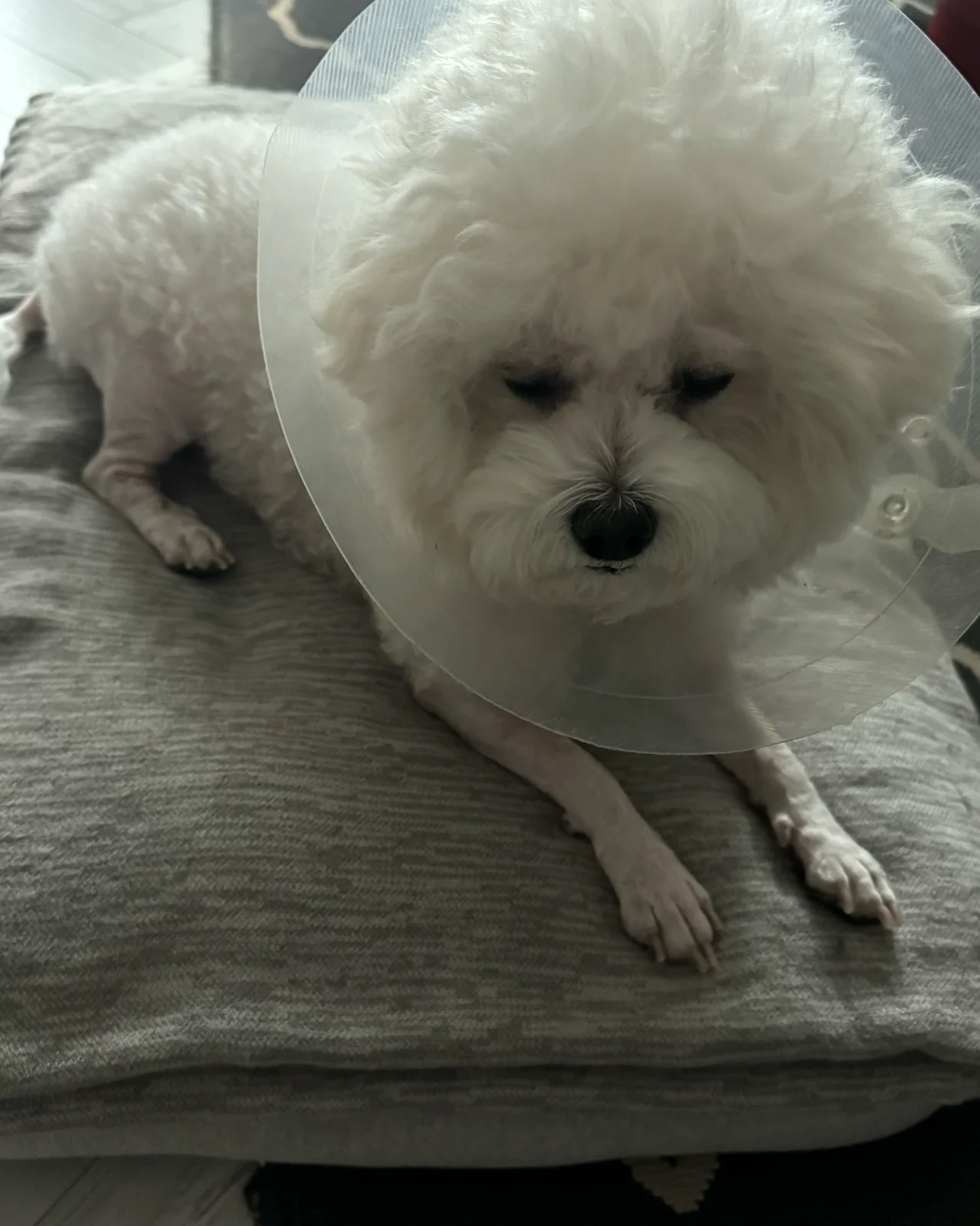 리뷰 사진 1