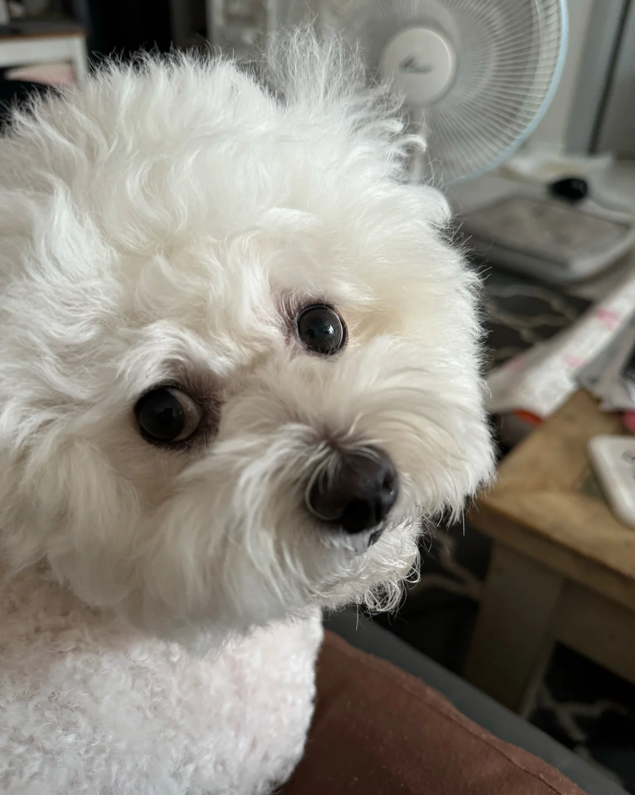 리뷰 사진 1