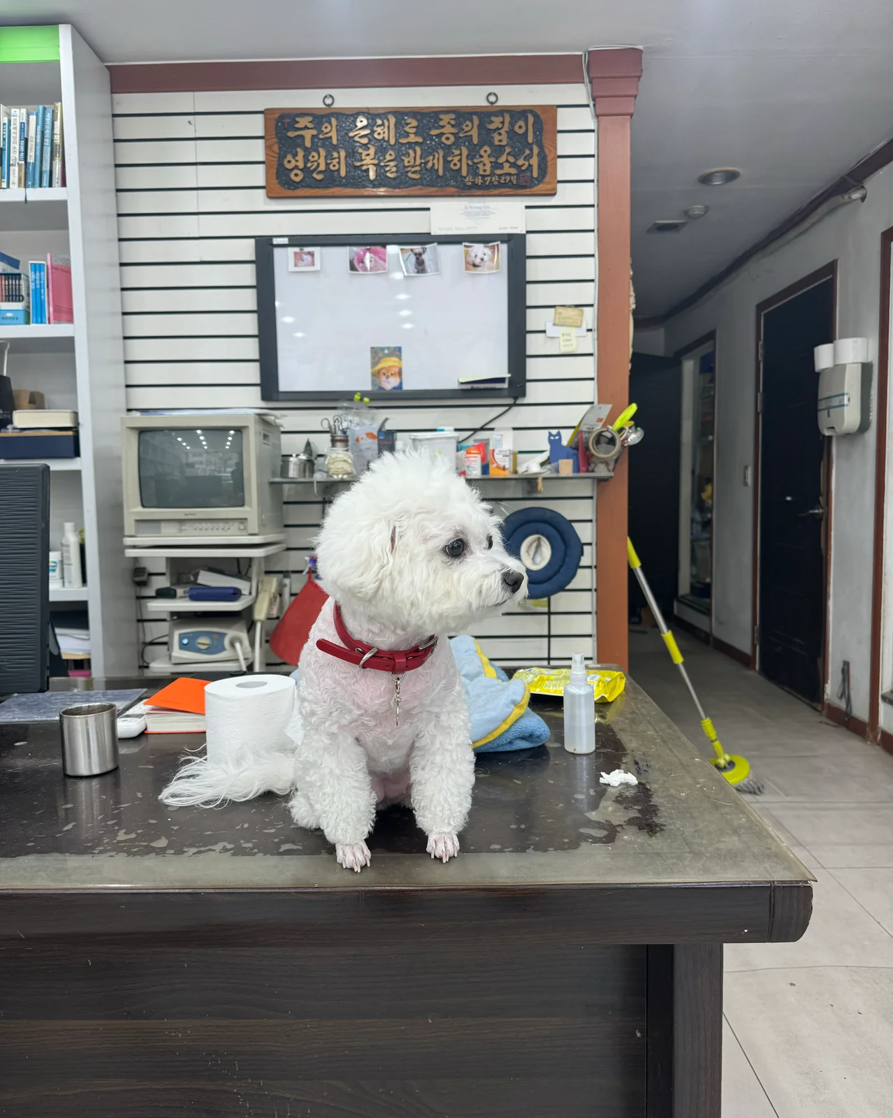 리뷰 사진 1