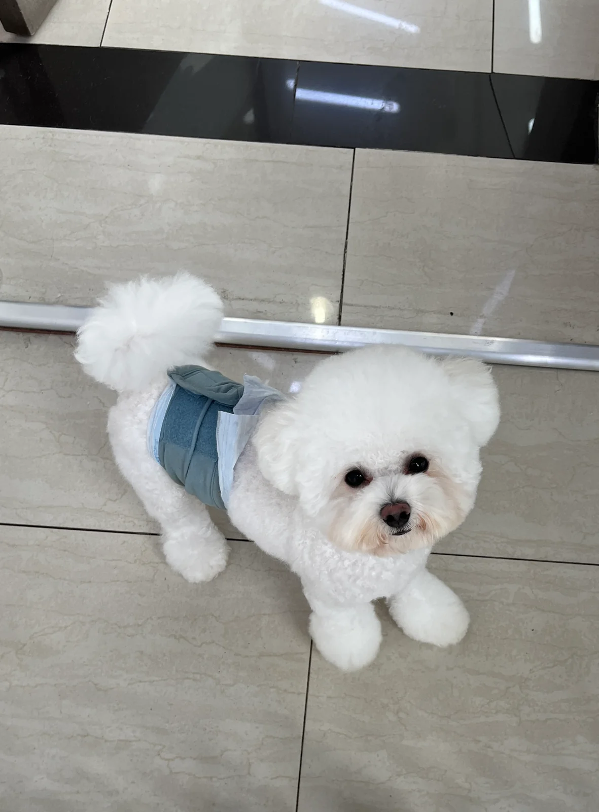 리뷰 사진 1