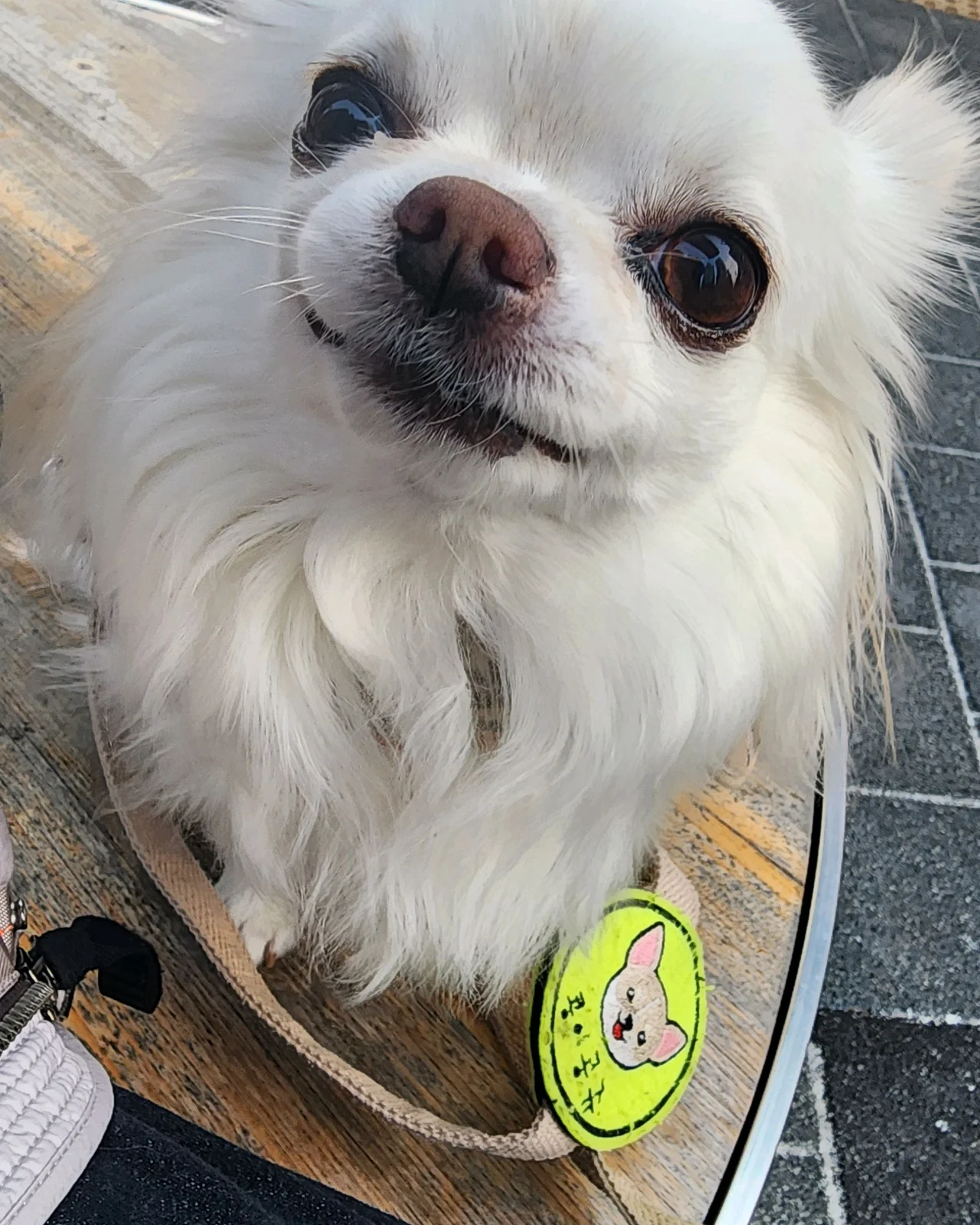 리뷰 사진 2