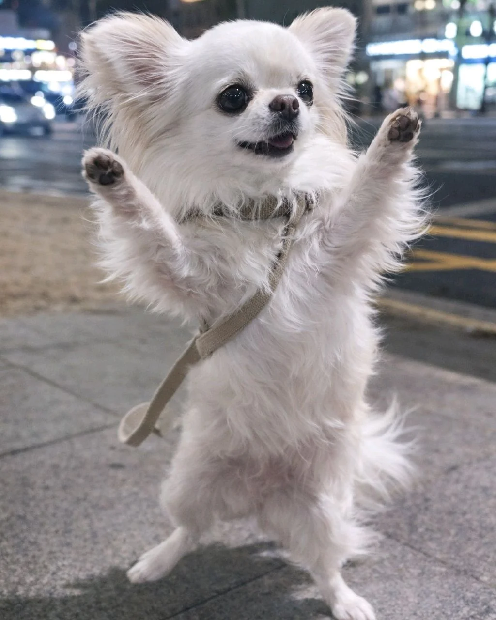 리뷰 사진 1