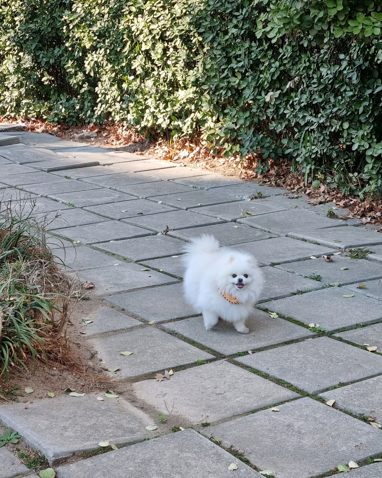 리뷰 사진 1