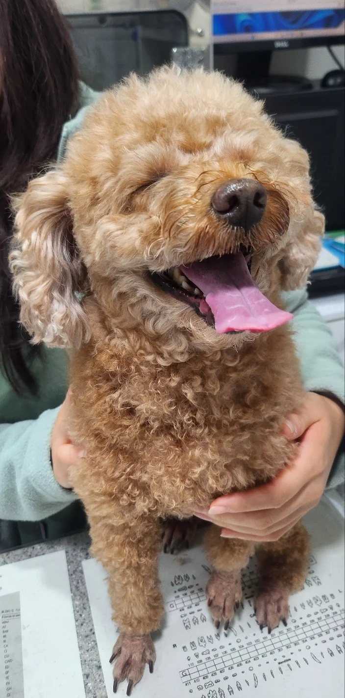 리뷰 사진 1