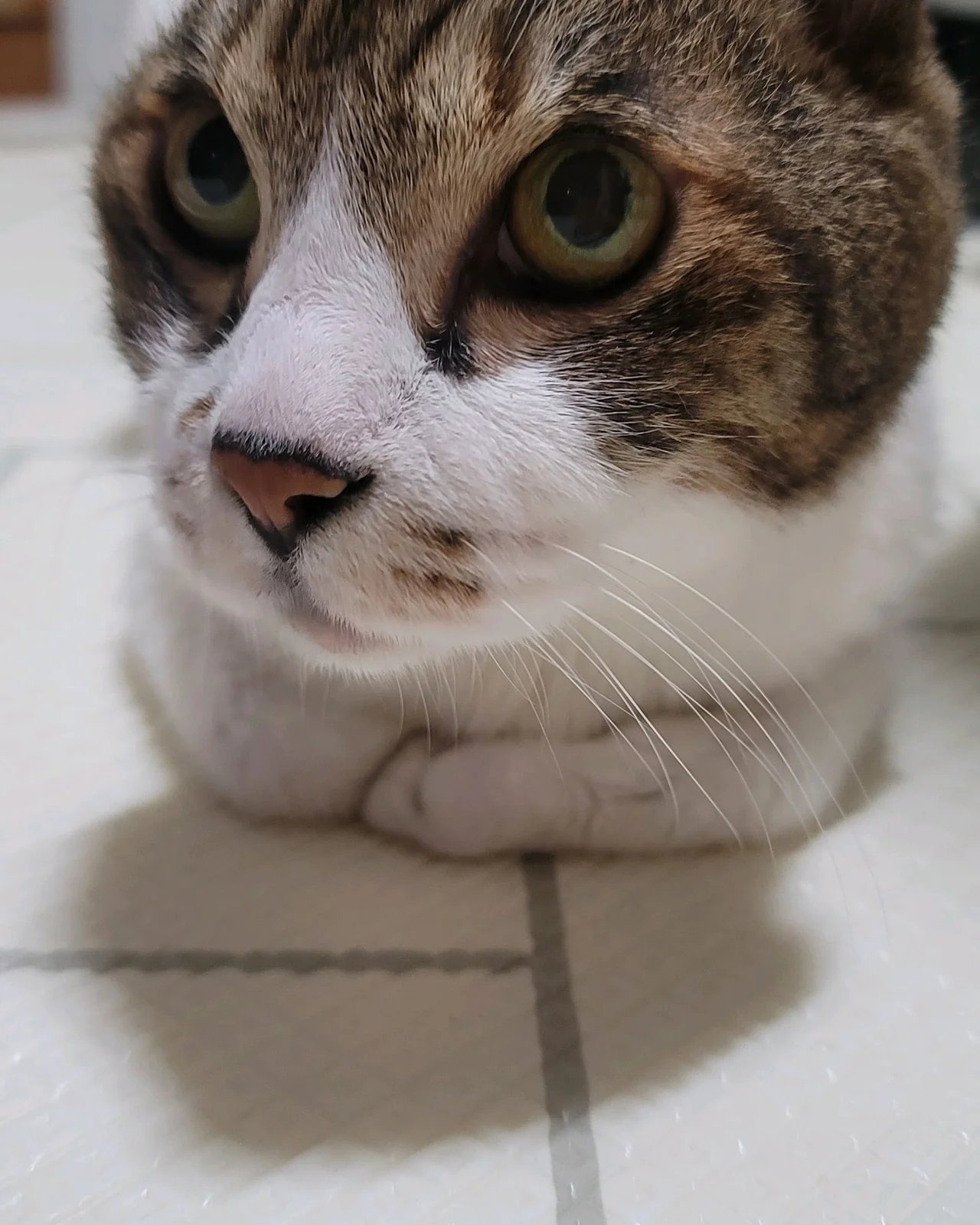 리뷰 사진 1