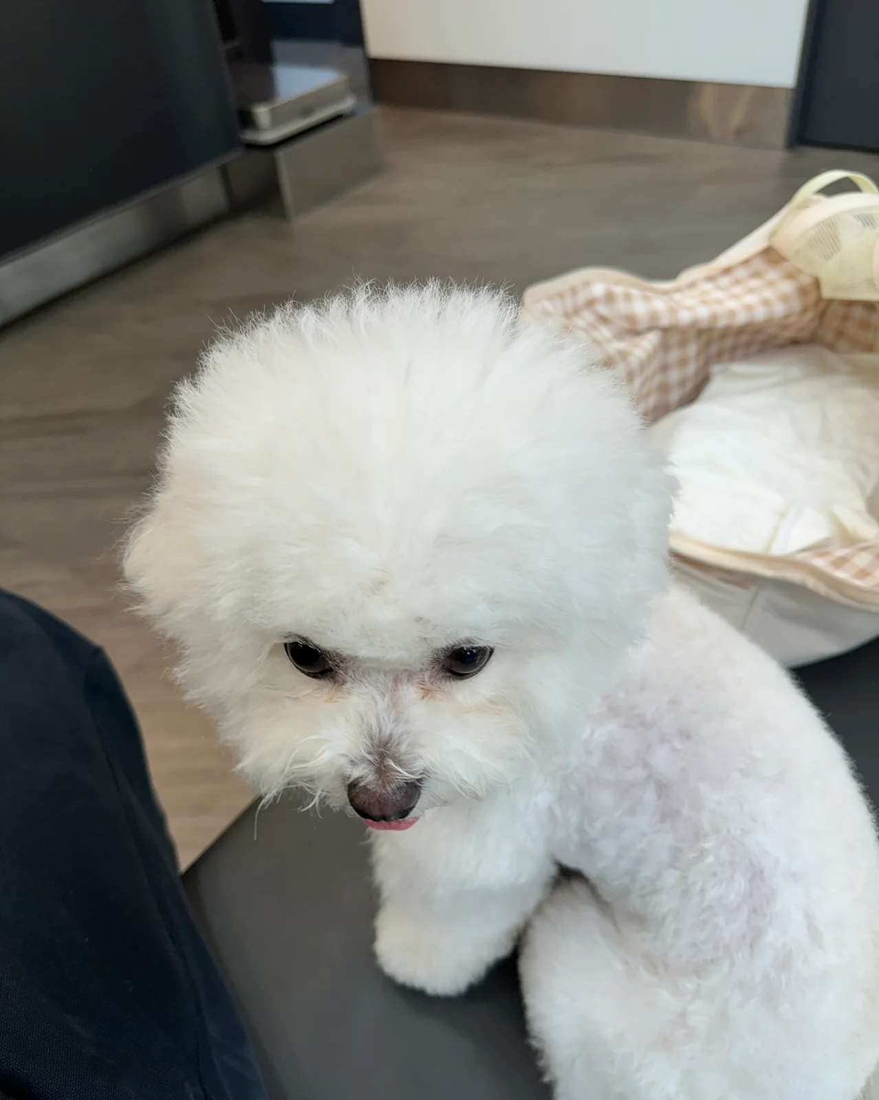 리뷰 사진 1