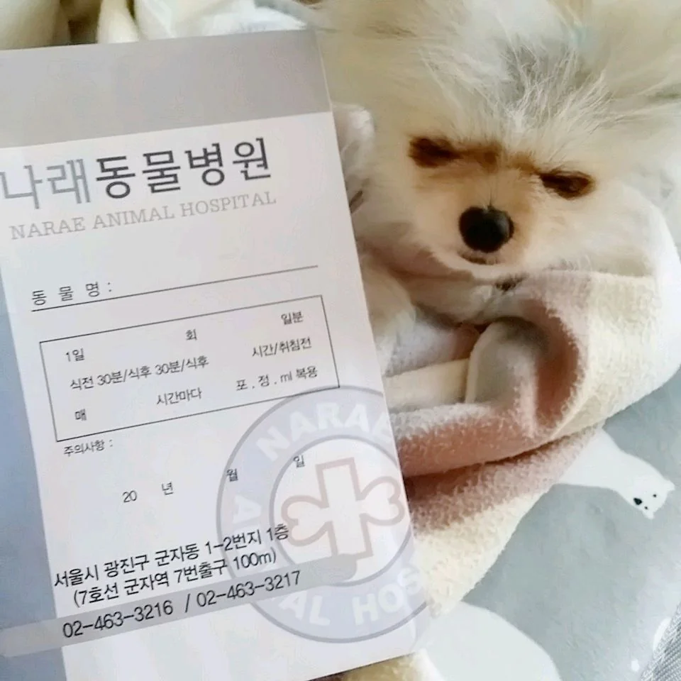 리뷰 사진 1