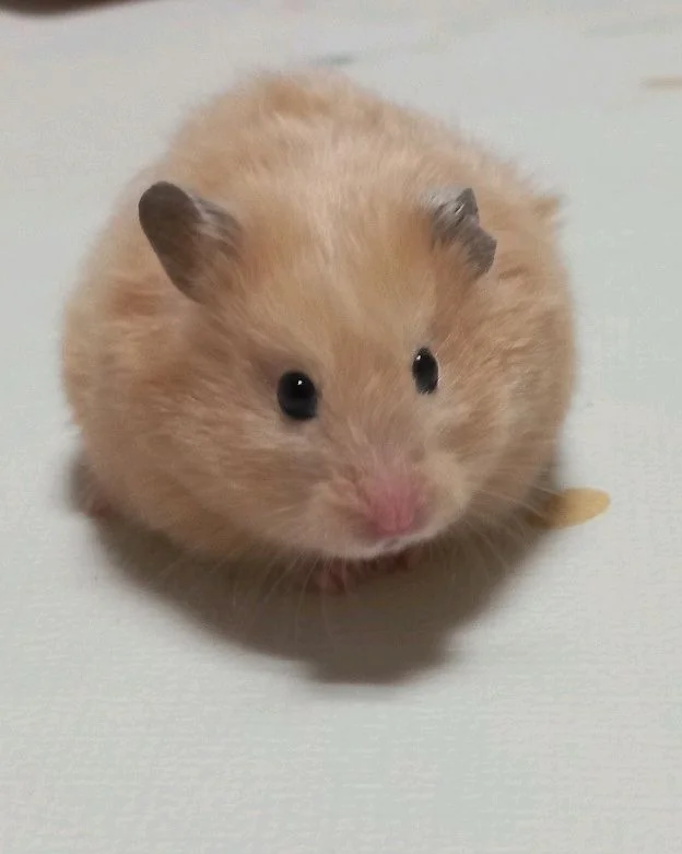 리뷰 사진 1