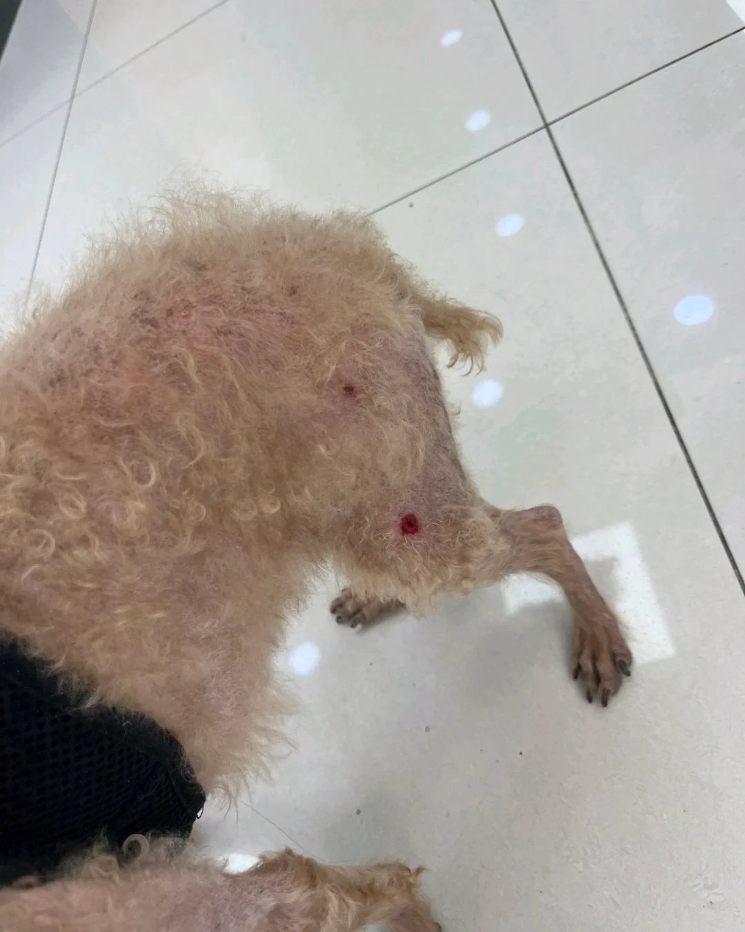 리뷰 사진 1