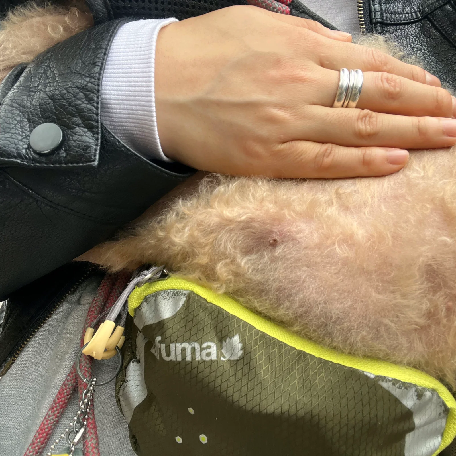 리뷰 사진 2