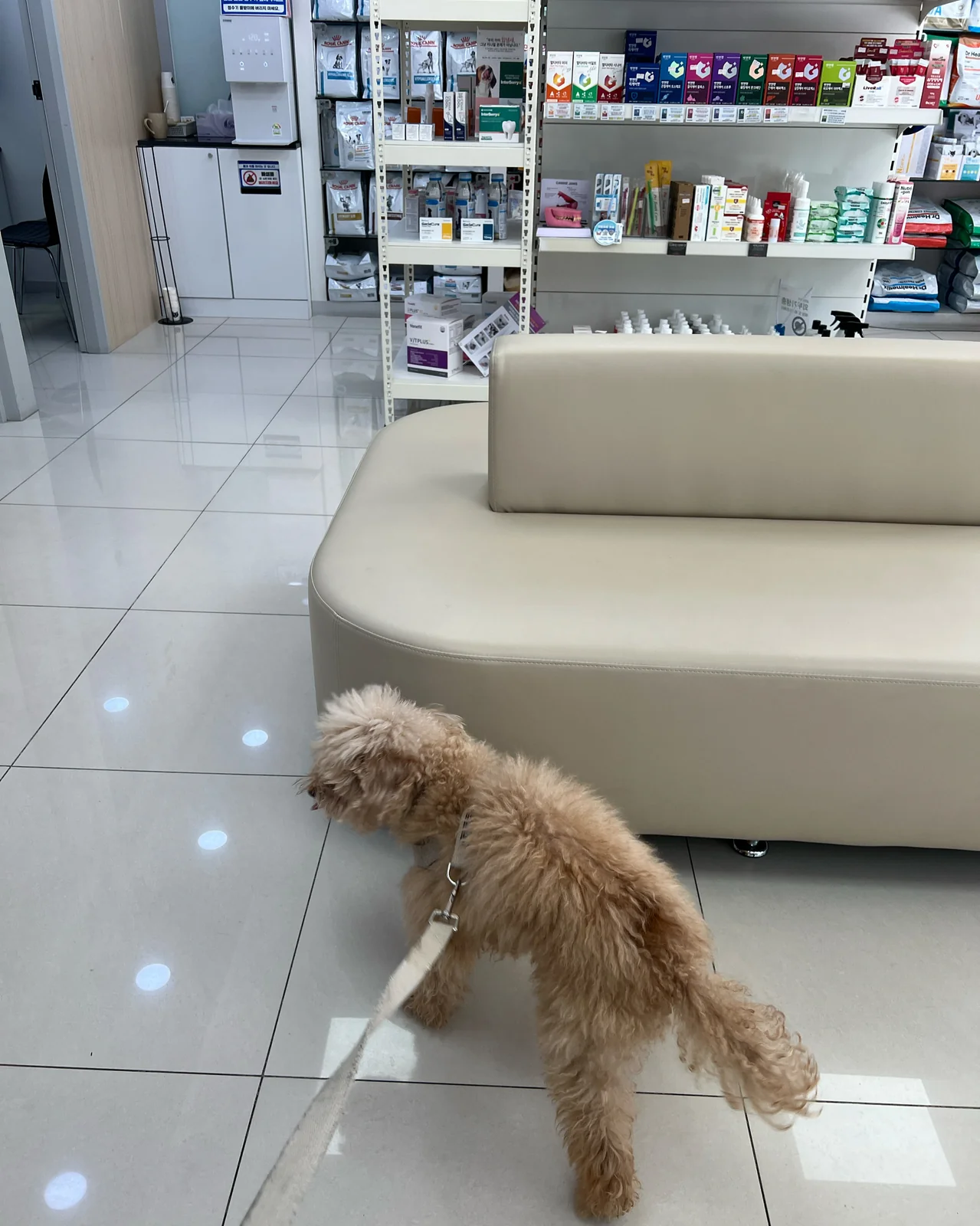 리뷰 사진 1
