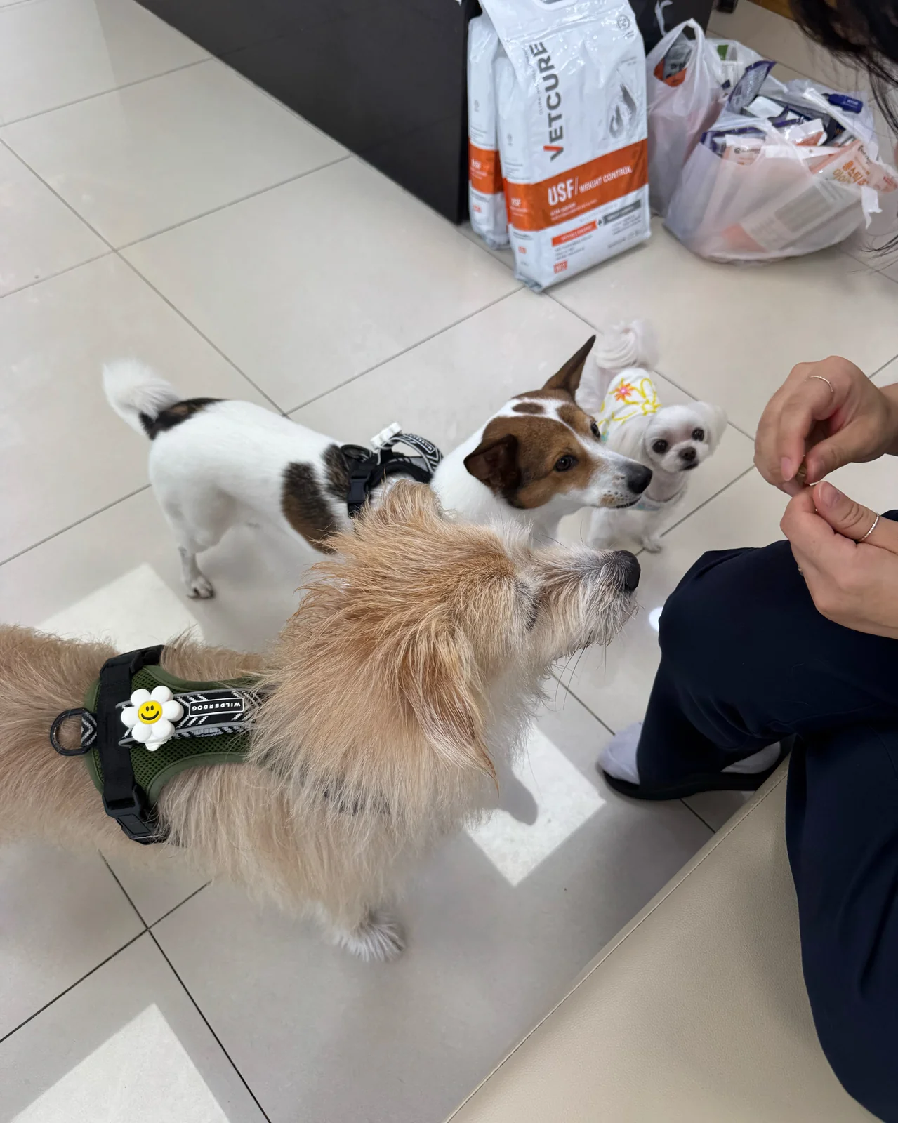 리뷰 사진 1