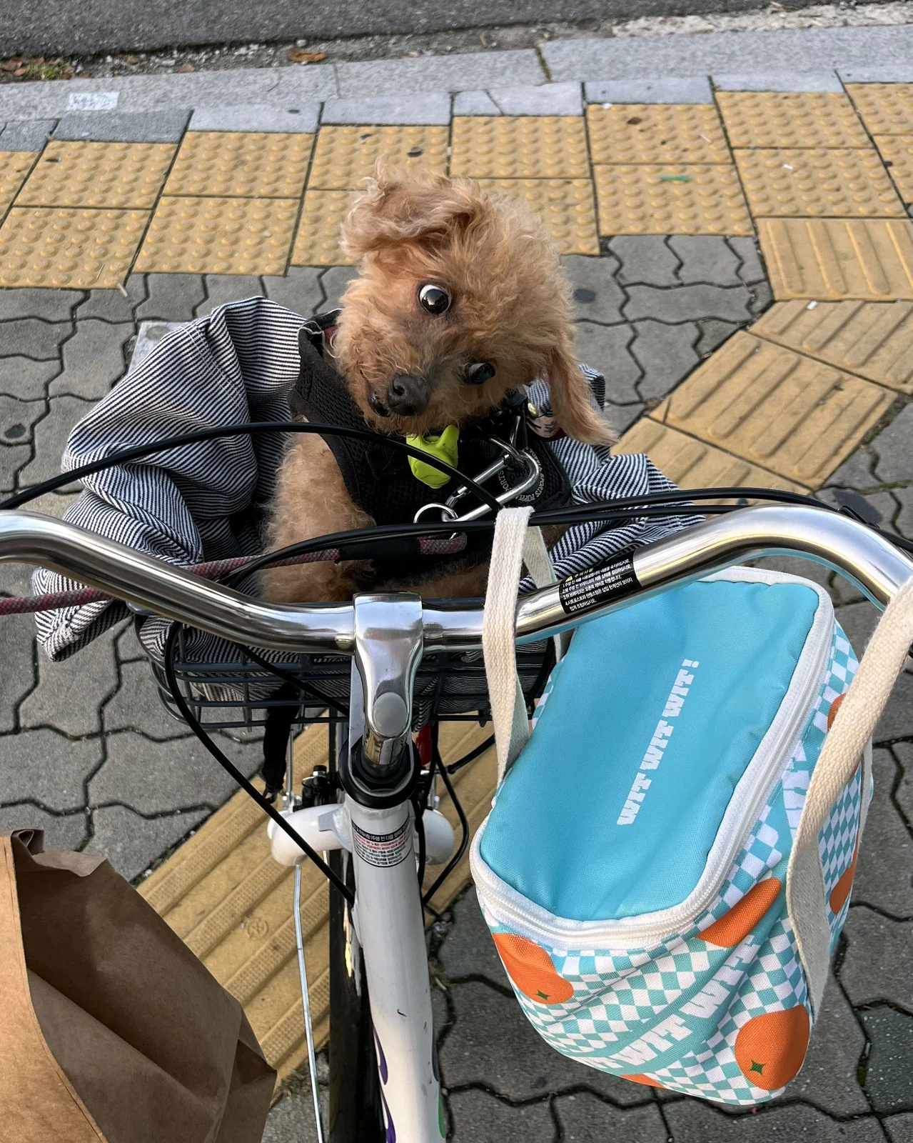 리뷰 사진 1