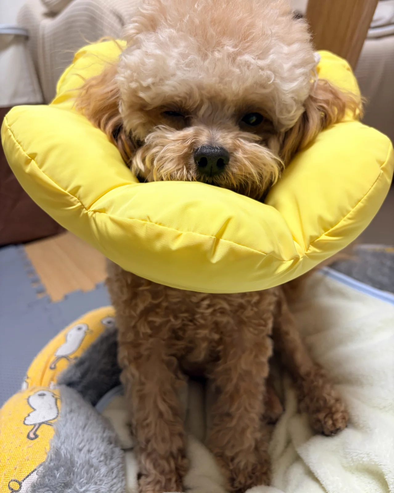리뷰 사진 1