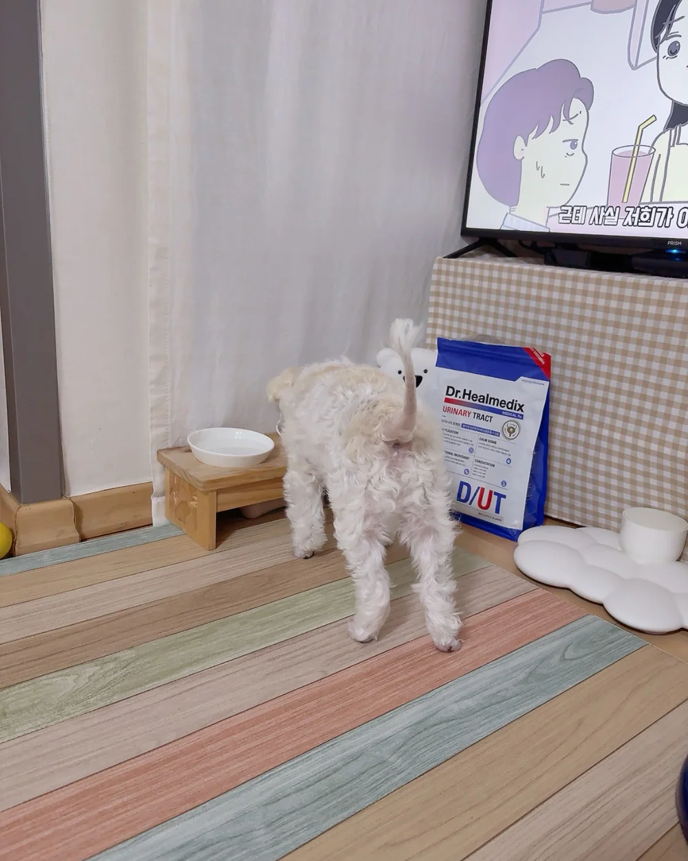 리뷰 사진 2