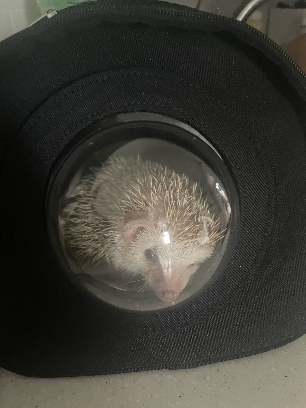 리뷰 사진 1