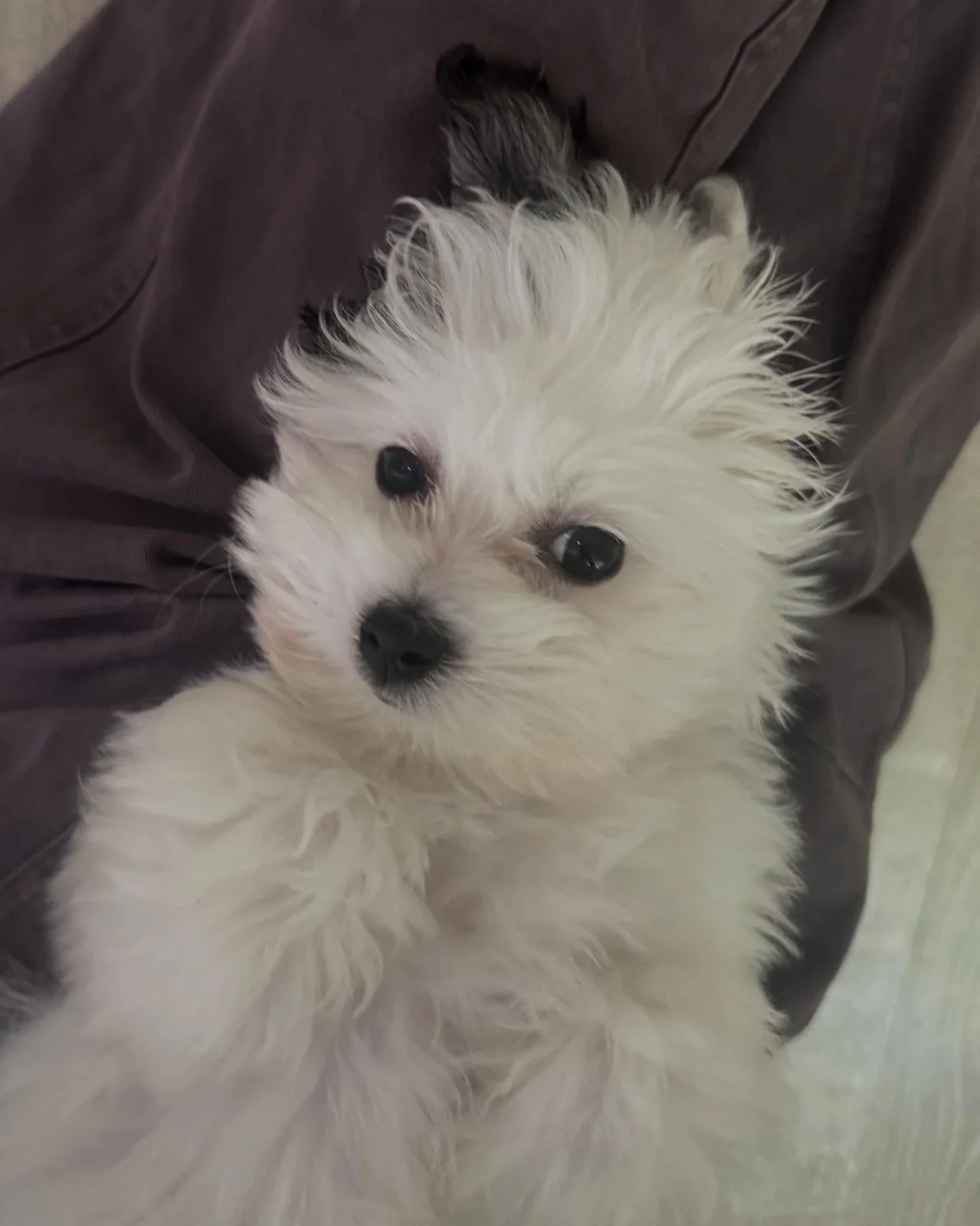 리뷰 사진 1