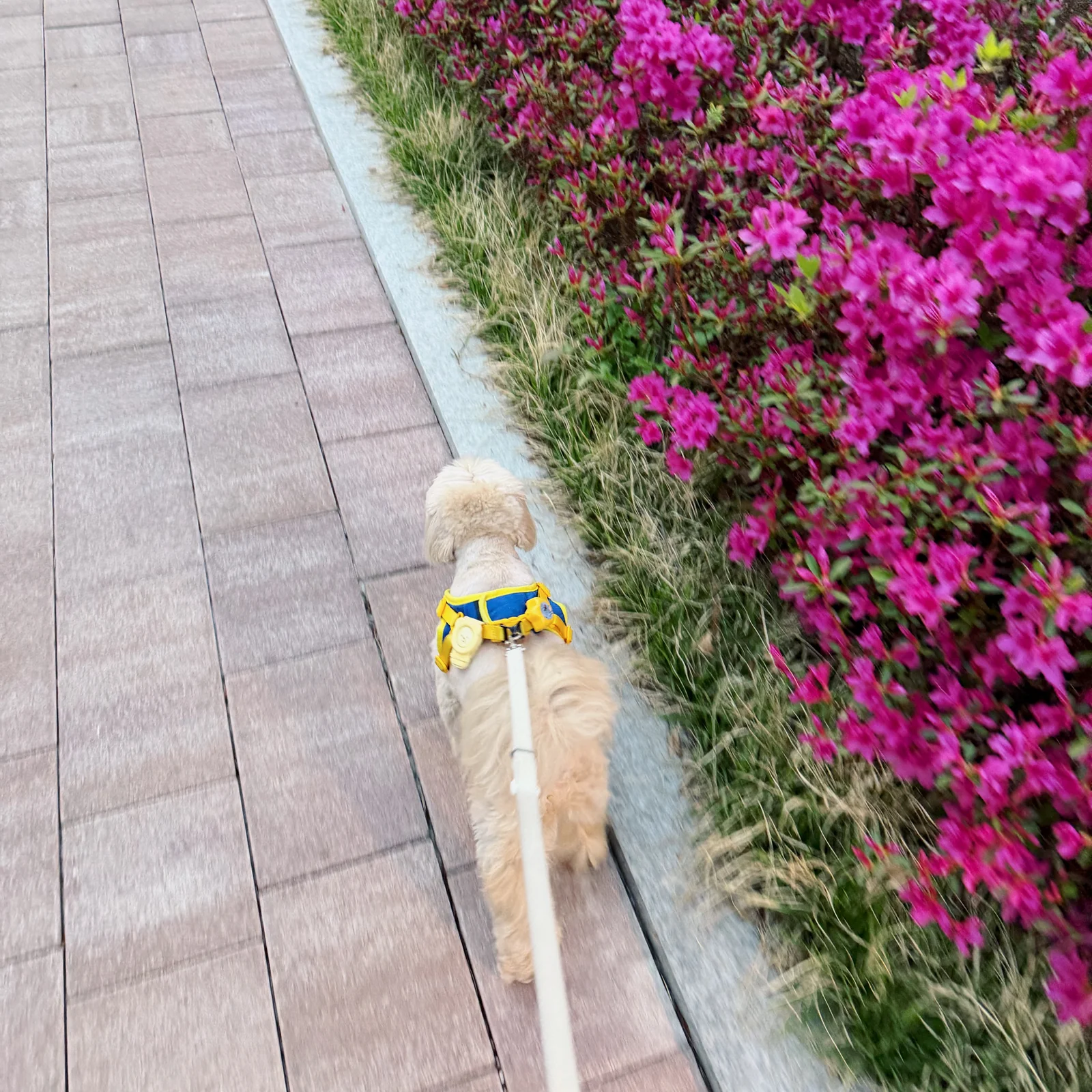 리뷰 사진 2