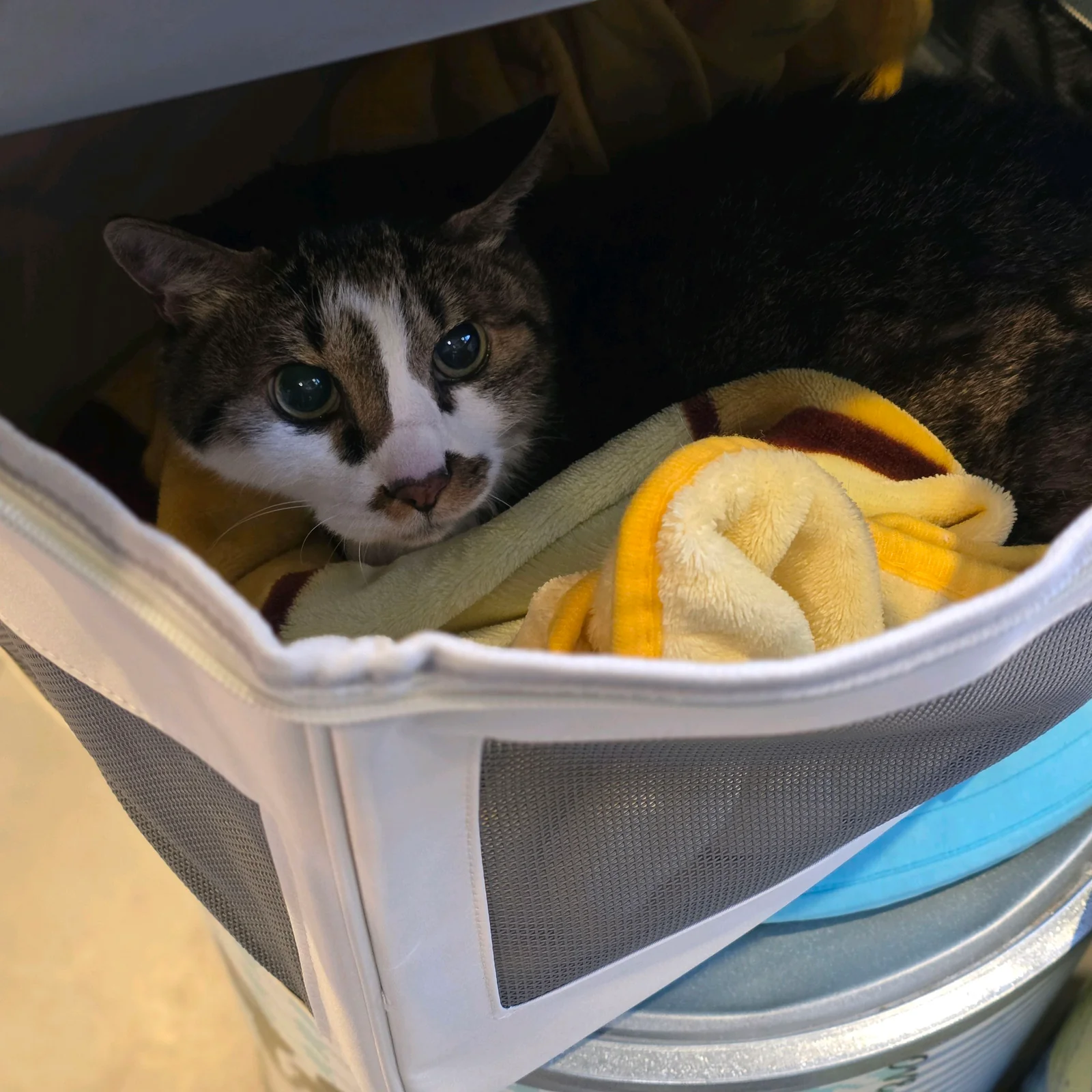 리뷰 사진 1