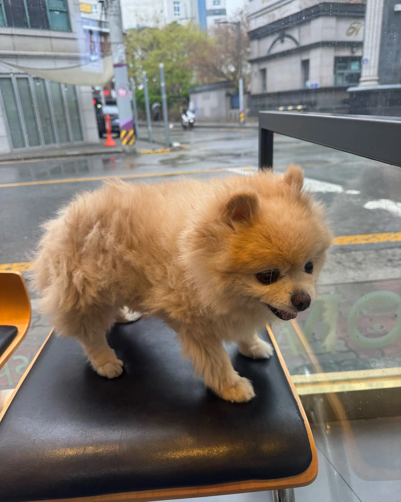 리뷰 사진 1