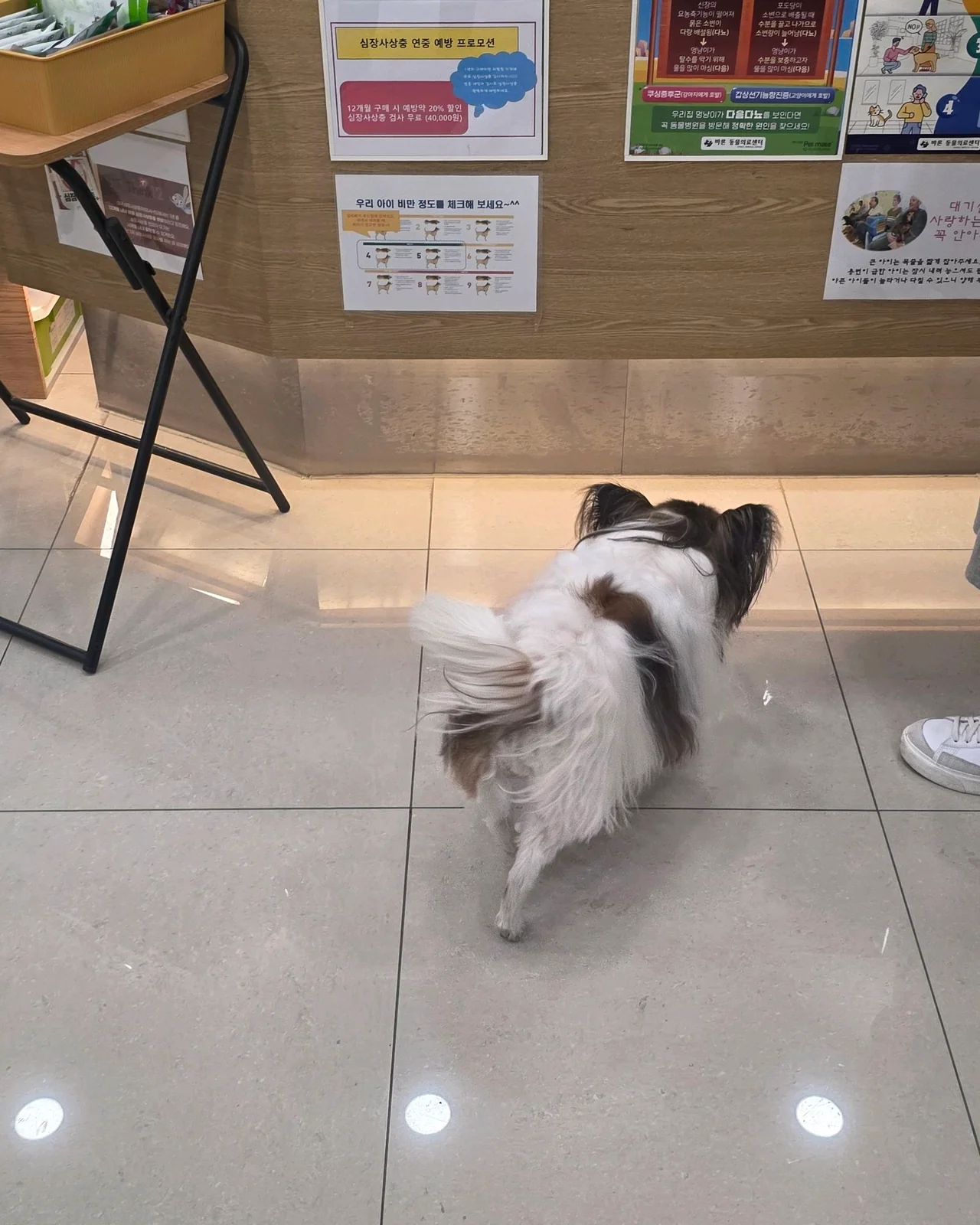 리뷰 사진 1