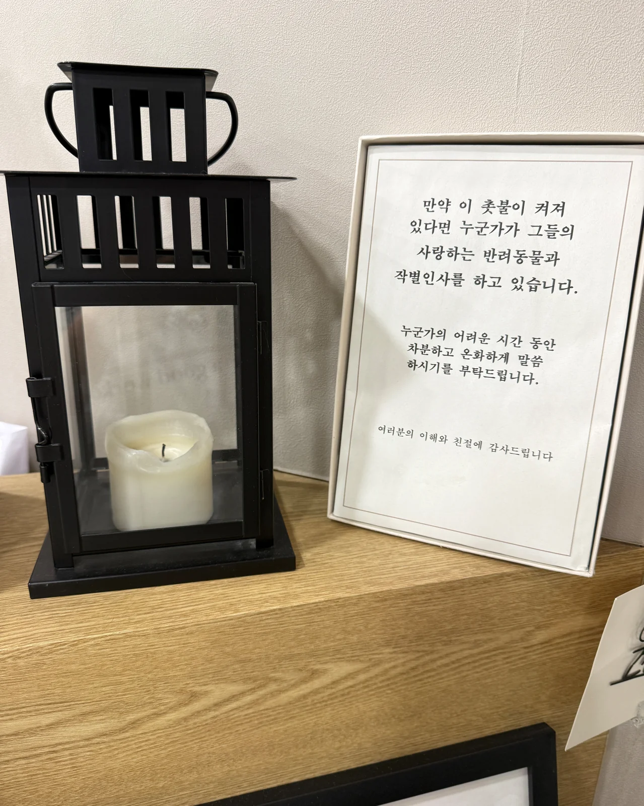 리뷰 사진 3