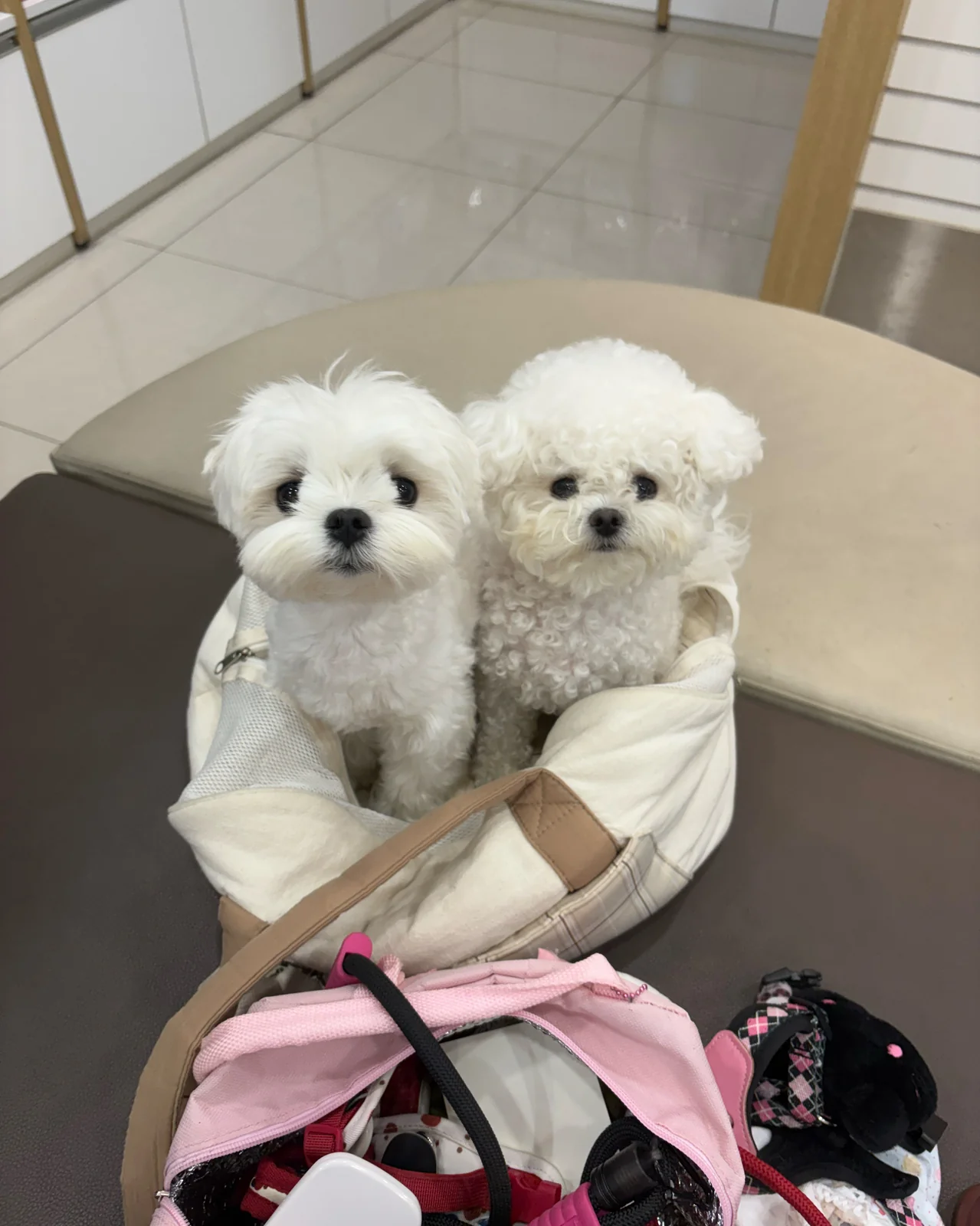 리뷰 사진 1