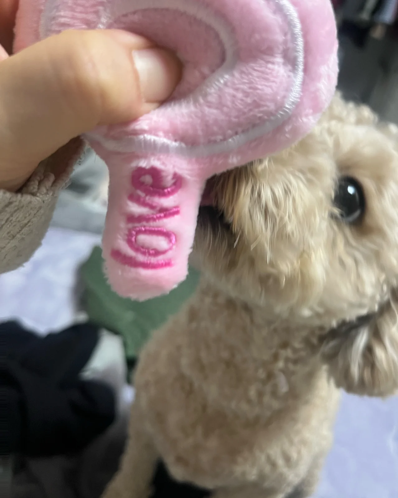 리뷰 사진 4