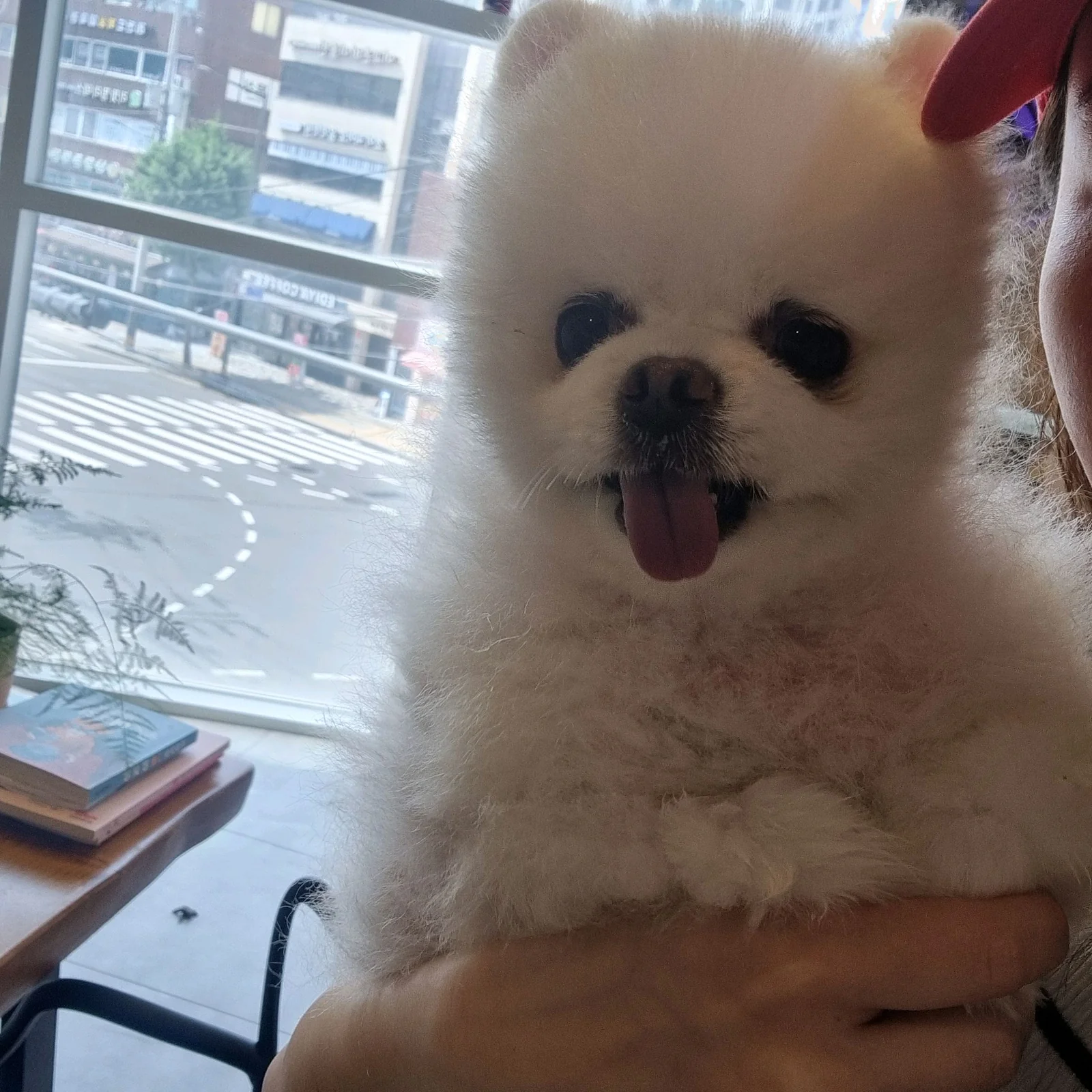 리뷰 사진 1