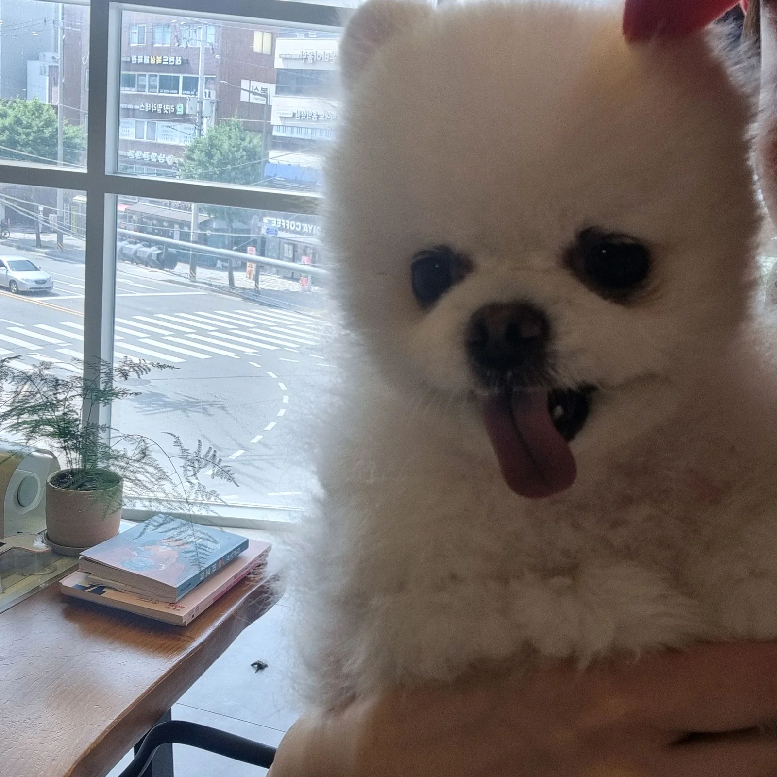 리뷰 사진 2
