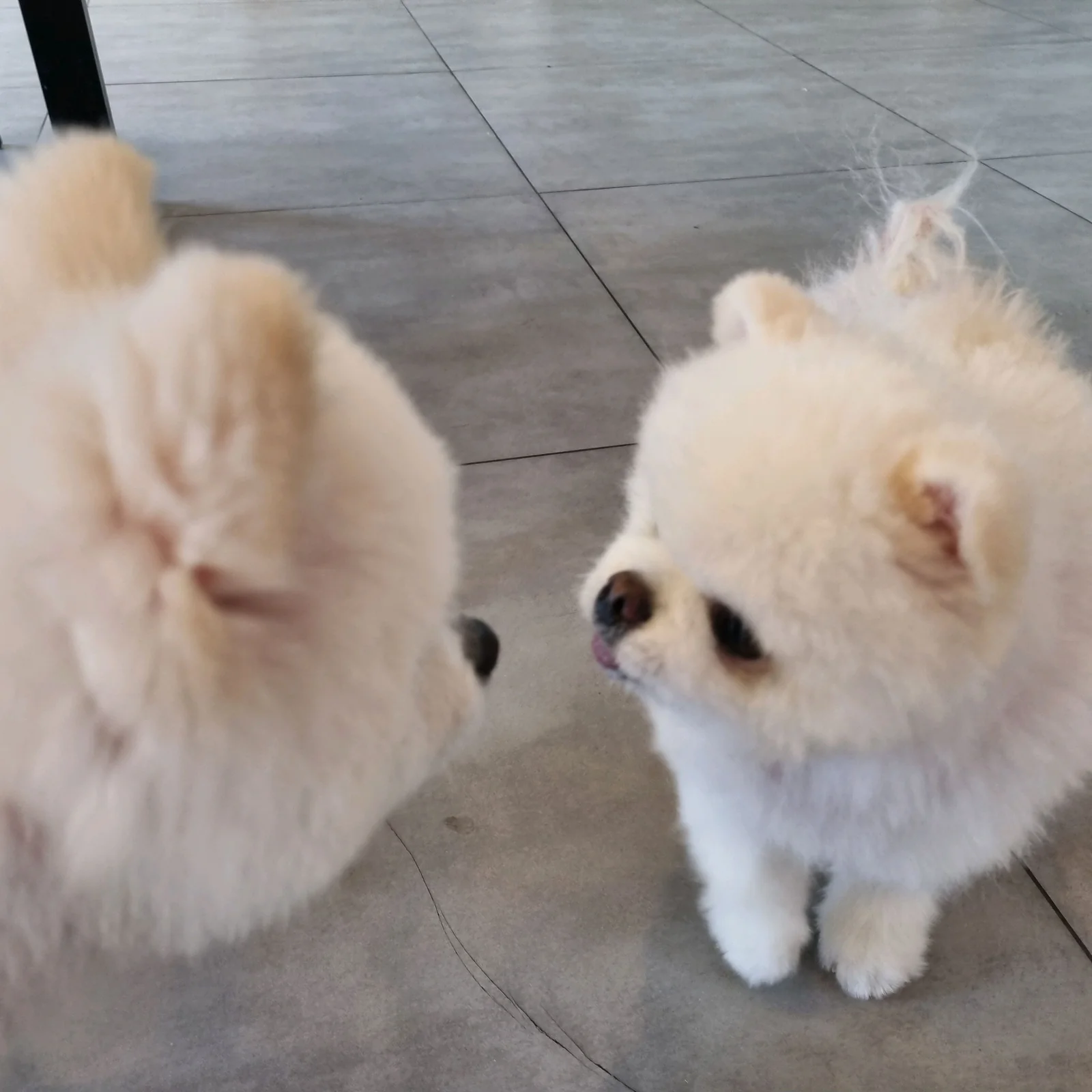 리뷰 사진 2