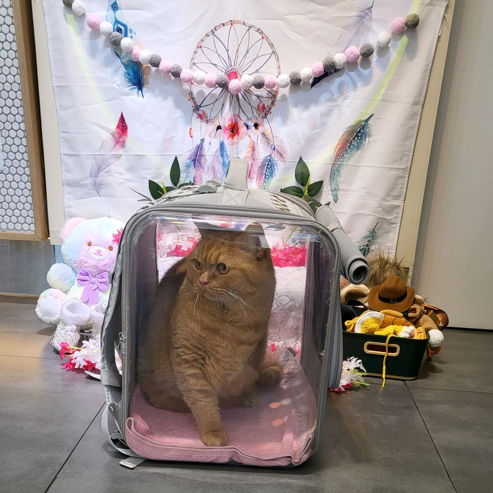 리뷰 사진 1