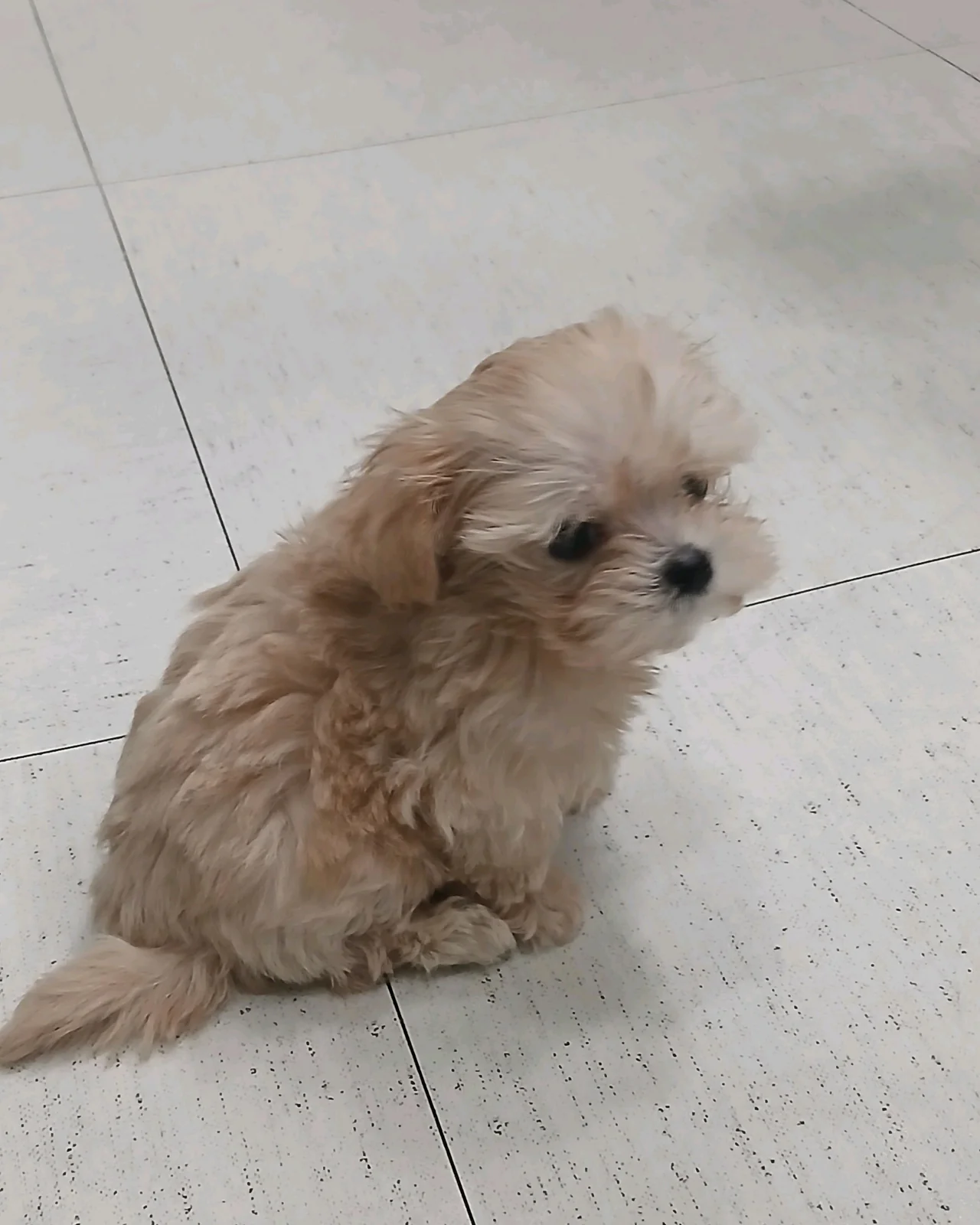 리뷰 사진 1