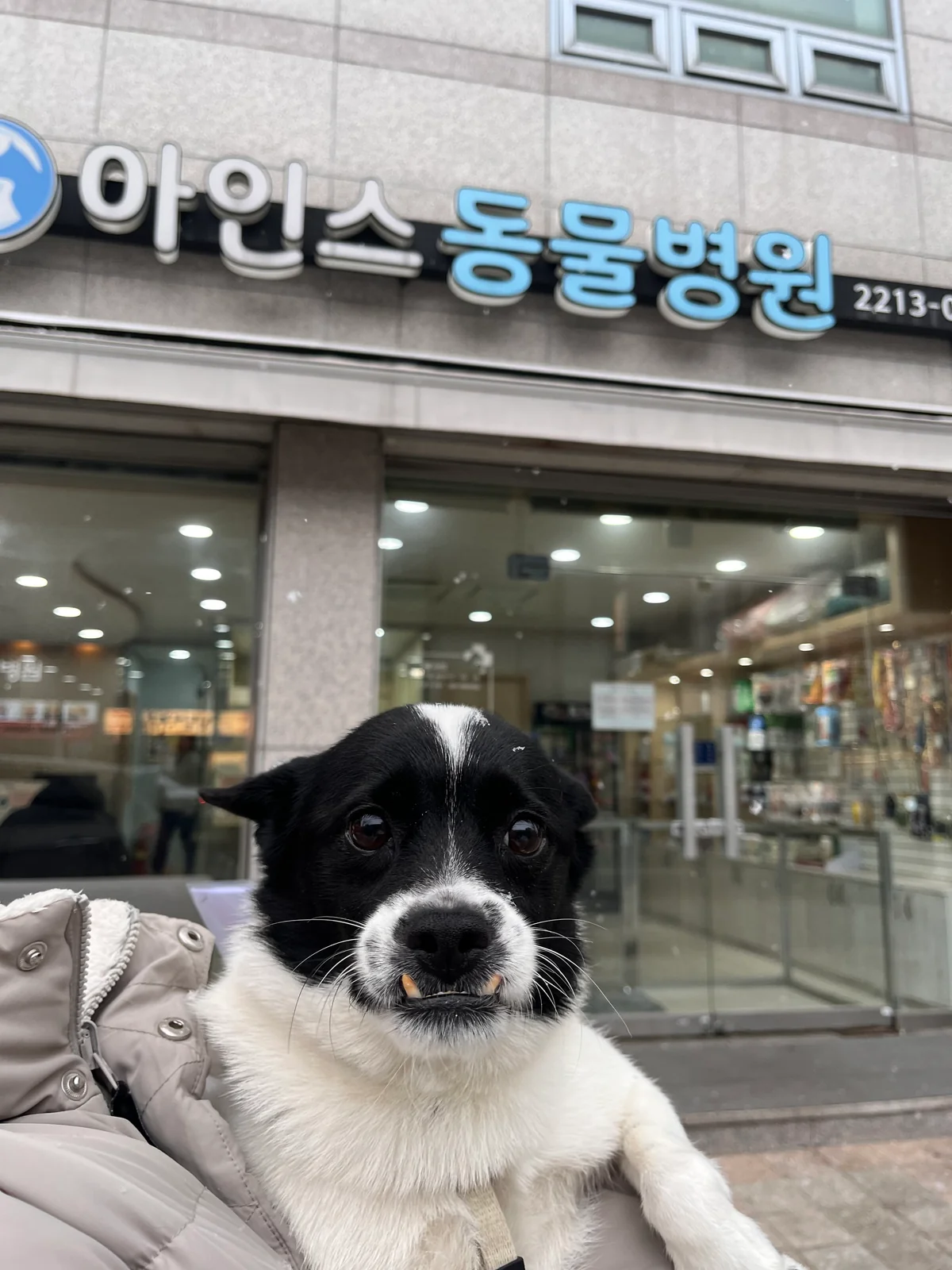 리뷰 사진 1