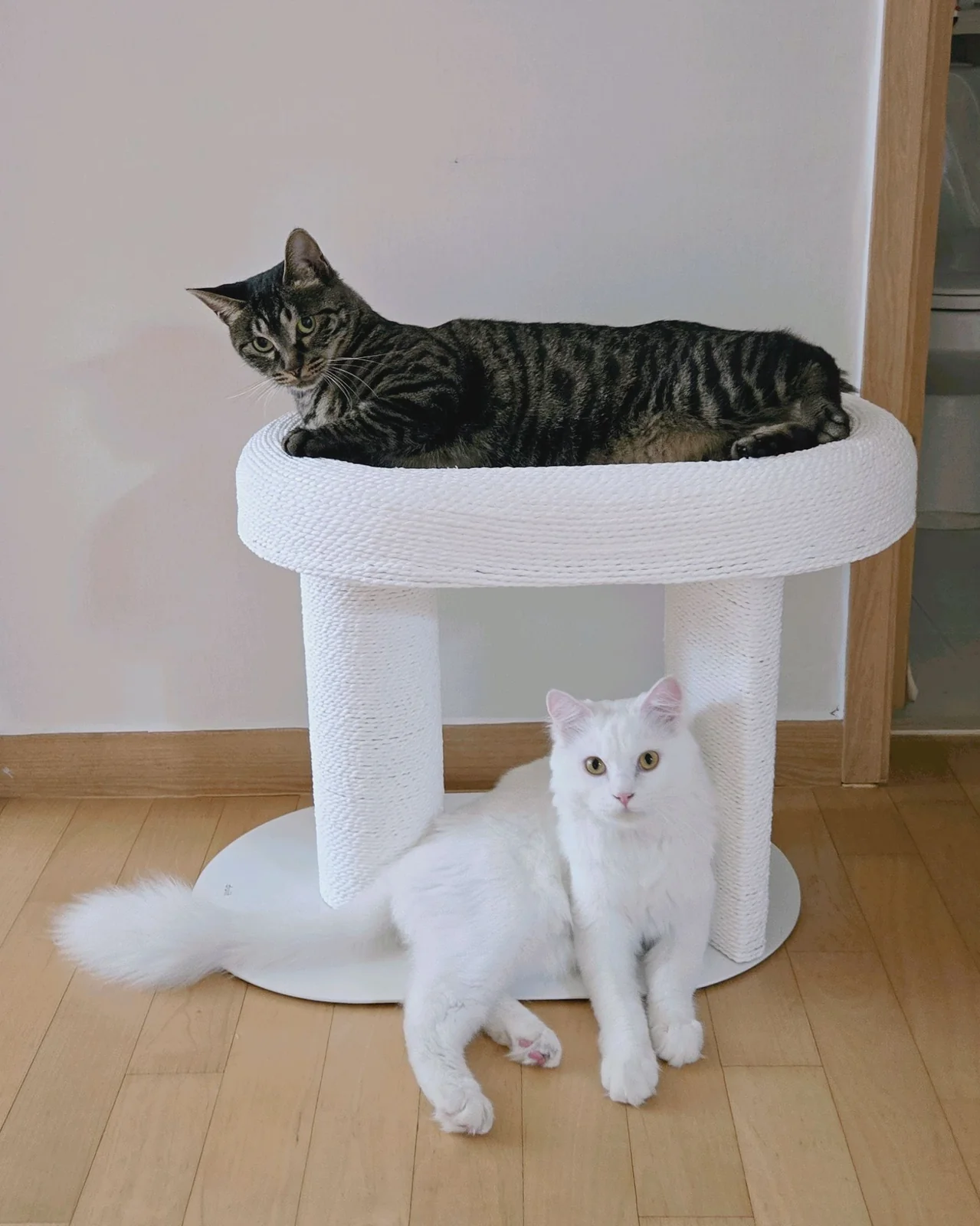 리뷰 사진 1