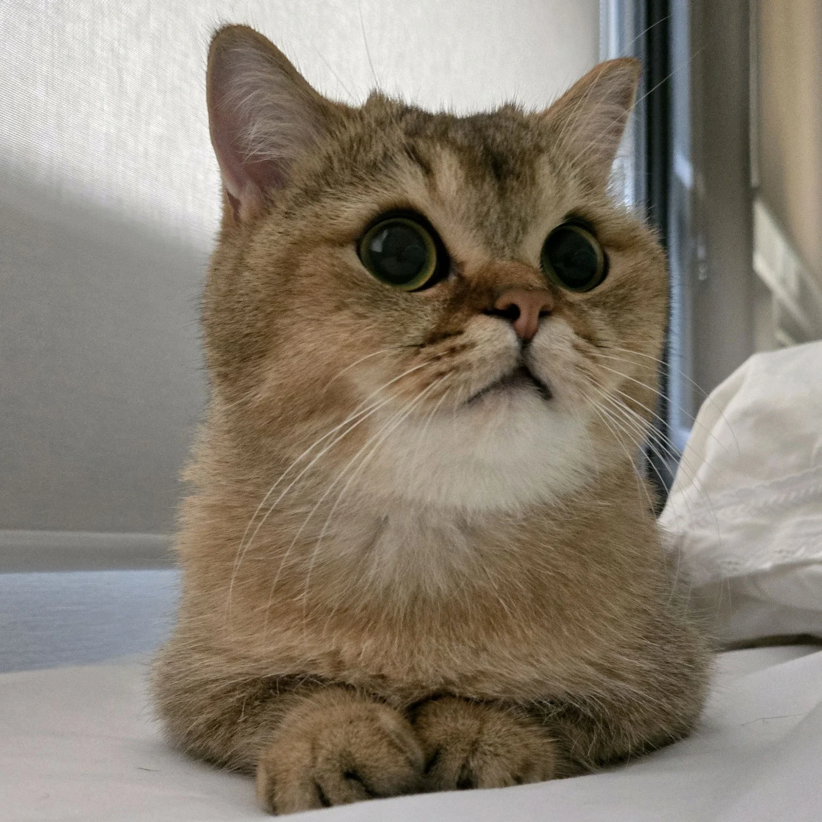 리뷰 사진 1