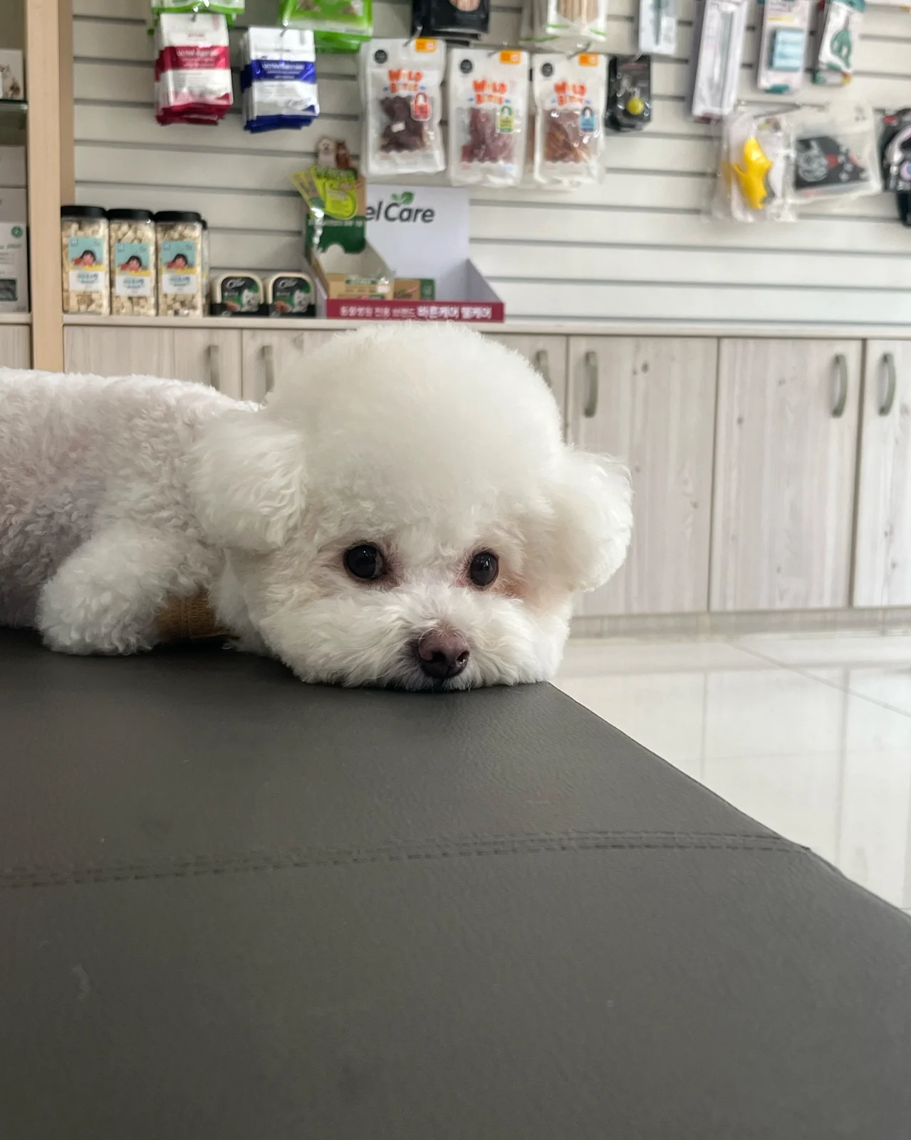 리뷰 사진 1