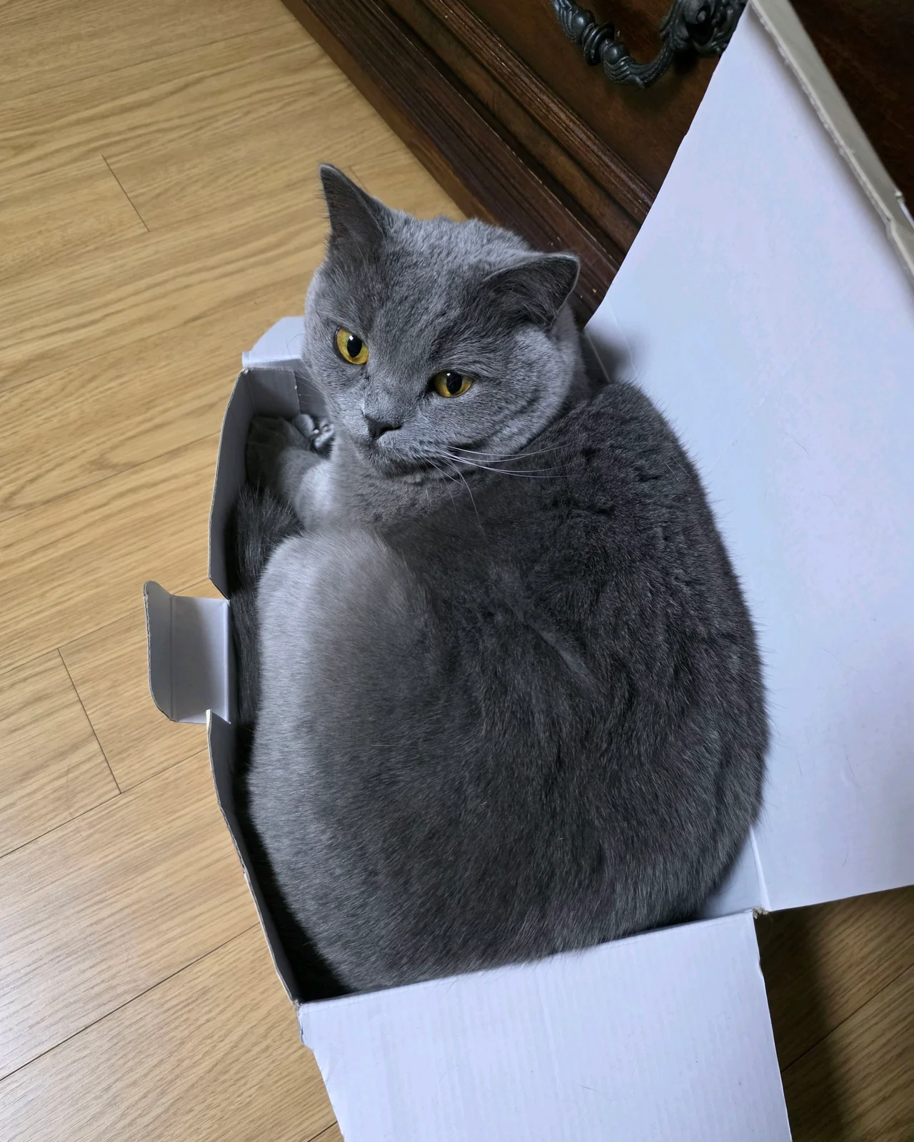 리뷰 사진 1