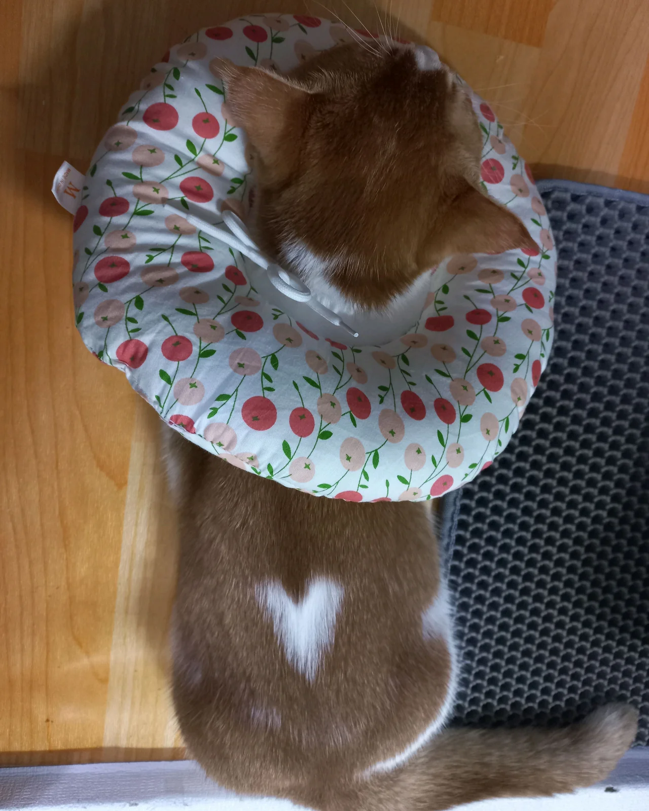 리뷰 사진 1